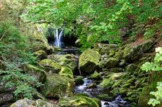 Steinbachklamm_D8B0090