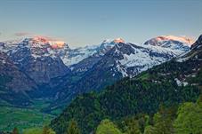 braunwald_M5A6605