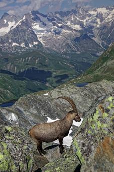 lacs_de_fenetre_M5A8129
