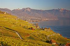 lavaux_M5A0047