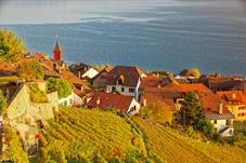 lavaux_M5A0072