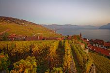 lavaux_M5A0123