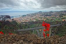 madeira_M5A1109