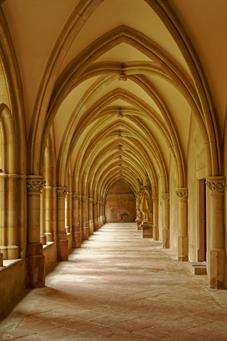 mosel_IMG_2186