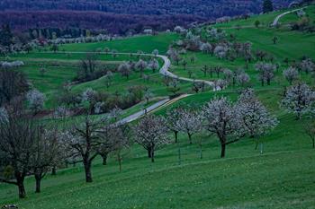 nuglar_M5A6279