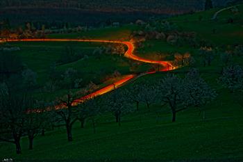 nuglar_M5A6294
