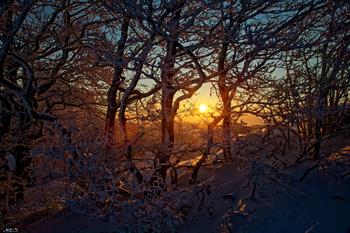 passwang_D8B4446