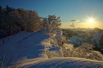 passwang_D8B4460