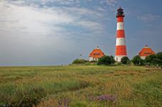 peter_ording_M5A3345