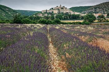 provence_D8B6032