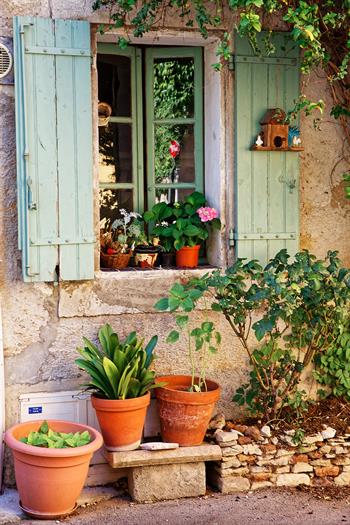 provence_D8B6534