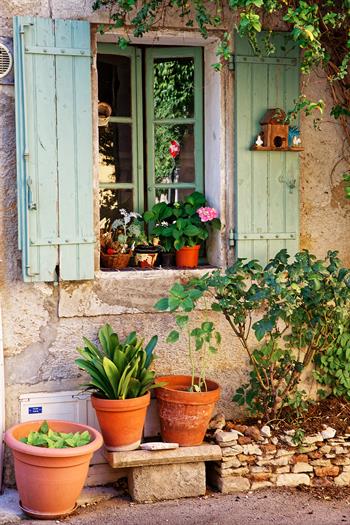 provence_D8B6534