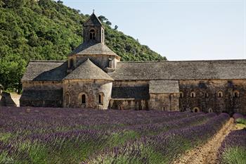 provence_D8B6904