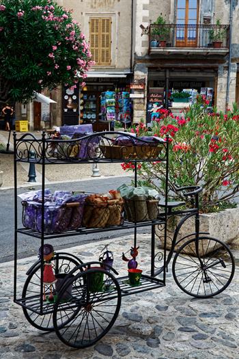 provence_D8B7055