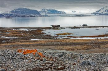 svalbard09_0051