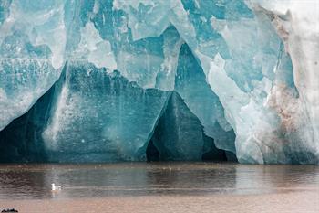 svalbard09_0091