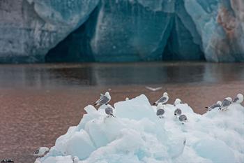 svalbard09_0100