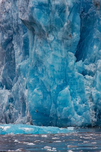 svalbard09_0107