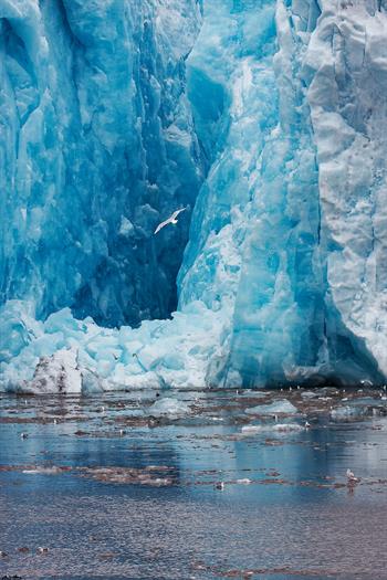 svalbard09_0130