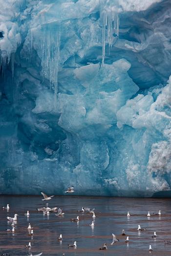 svalbard09_0136