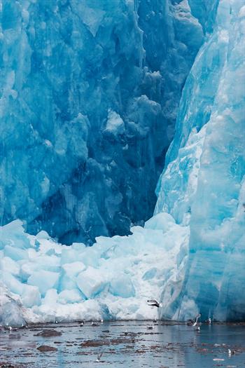 svalbard09_0141