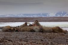svalbard09_0229