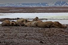 svalbard09_0231