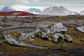 svalbard09_0438
