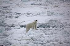 svalbard09_0753