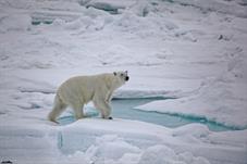 svalbard09_0759