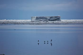 svalbard09_0836