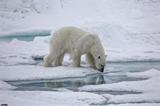 svalbard09_0856