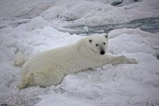 svalbard09_0887