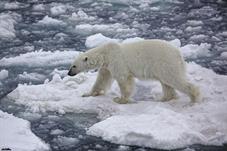 svalbard09_0900