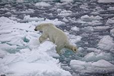 svalbard09_0917