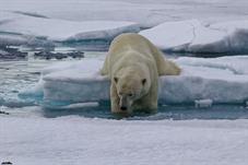 svalbard09_1029