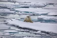 svalbard09_1034