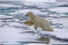 svalbard09_1041_original
