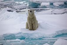 svalbard09_1043
