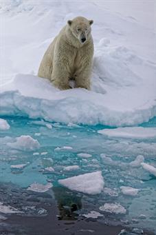 svalbard09_1056