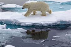 svalbard09_1066