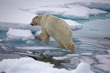 svalbard09_1090