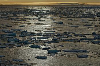 svalbard09_1139