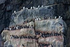 svalbard09_1282
