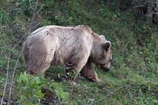 tierpark_goldau__D8B3495