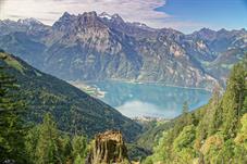 urnersee_MG_3115