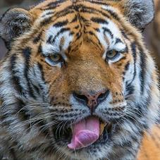 zoozuerich__D8B4065-2