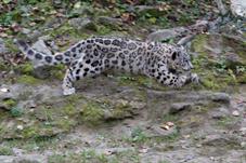 zoozuerich__D8B4099
