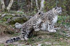 zoozuerich__D8B4126