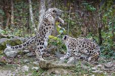 zoozuerich__D8B4138-2